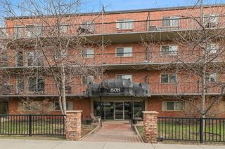 Photo 21: 206 808 Royal Avenue SW in Calgary: Lower Mount Royal Apartment for sale : MLS®# A1210141