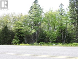 Photo 17: Lot 21-4 Highway 3 in East River: Vacant Land for sale : MLS®# 202311829
