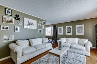 Photo 7: 39 Summerfield Close SW: Airdrie Detached for sale : MLS®# A2034288