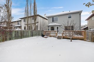 Photo 35: 192 Tuscany Meadows Close NW in Calgary: Tuscany Detached for sale : MLS®# A2014352