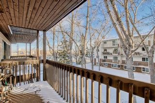 Photo 26: 28 3519 49 Street NW in Calgary: Varsity Apartment for sale : MLS®# A2011852