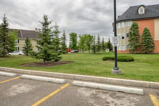 Photo 42: 2230 48 Inverness Gate SE in Calgary: McKenzie Towne Apartment for sale : MLS®# A1229165