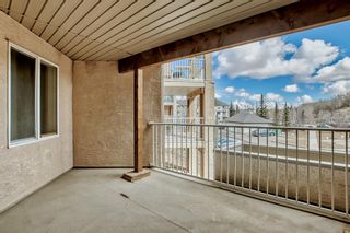 Photo 10: 208 1000 Citadel Meadow Point NW in Calgary: Citadel Apartment for sale : MLS®# A2050408