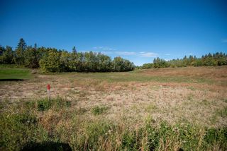 Photo 8: 13 120 Burbank Road: Rural Lacombe County Residential Land for sale : MLS®# A2015051