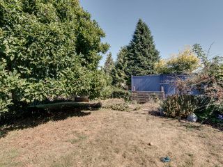 Photo 40: 32973 1ST Avenue in Mission: Mission BC House for sale : MLS®# R2815540