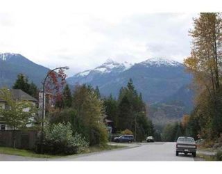 Photo 8: 40738 THUNDERBIRD RIDGE in Squamish: Garibaldi Highlands House for sale : MLS®# V857021