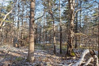 Photo 18: Lot 4 Hampton Mountain Road in Hampton: Annapolis County Vacant Land for sale (Annapolis Valley)  : MLS®# 202403791
