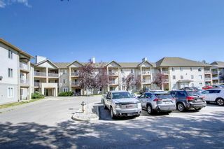 Photo 42: 320 3000 Citadel Meadow Point NW in Calgary: Citadel Apartment for sale : MLS®# A1244571