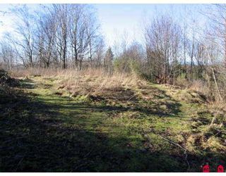 Photo 4: # 2.2AC SUMAS WY in Abbotsford: Central Abbotsford Land for sale : MLS®# F2618662