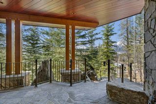 Photo 46: 145 Silvertip Ridge: Canmore Detached for sale : MLS®# A2110597