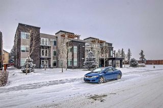 Photo 3: 206 15207 1 Street SE in Calgary: Midnapore Apartment for sale : MLS®# A2110234