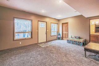 Photo 29: 46 Perry Drive: Sylvan Lake Detached for sale : MLS®# A2088976
