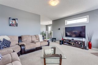 Photo 22: 66 Skyview Point Rise NE in Calgary: Skyview Ranch Detached for sale : MLS®# A1212489