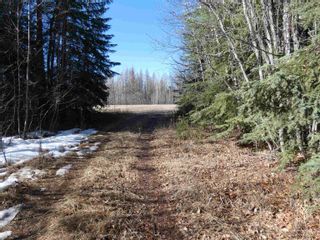 Photo 6: 279 ALASKA Highway in Fort Nelson: Fort Nelson - Rural Land for sale : MLS®# R2771698