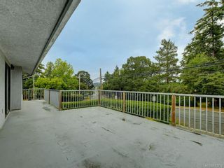 Photo 17: 4174 Glanford Ave in Saanich: SW Glanford House for sale (Saanich West)  : MLS®# 843773