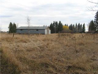 Photo 7: 3 miles east of Sundre in SUNDRE: Rural Mountain View County Rural Land for sale : MLS®# C3590774