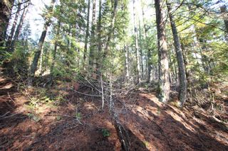 Photo 13: Lot 22 Vickers Trail: Anglemont Vacant Land for sale (North Shuswap)  : MLS®# 10243424