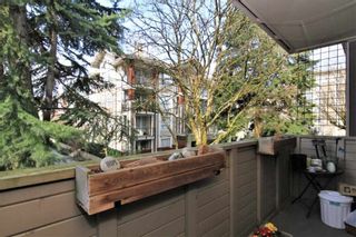 Photo 6: 23 2444 WILSON Avenue in Port Coquitlam: Central Pt Coquitlam Condo for sale in "ORCHARD" : MLS®# R2247251