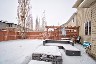 Photo 33: 270 Chapalina Terrace SE in Calgary: Chaparral Detached for sale : MLS®# A2021113