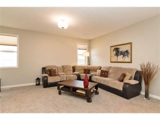 Photo 26: 122 CHAPARRAL VALLEY Square SE in Calgary: Chaparral House for sale : MLS®# C4113390