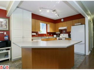 Photo 3: 4176 206A Street in Langley: Brookswood Langley House for sale in "BROOKSWOOD" : MLS®# F1121699
