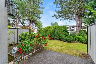 Photo 38: 13 32917 AMICUS Place in Abbotsford: Central Abbotsford Townhouse for sale in "Pine Grove Terrace" : MLS®# R2792127