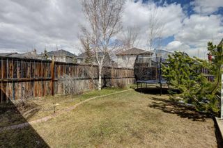 Photo 31: 153 Royal Birch Crescent NW in Calgary: Royal Oak Detached for sale : MLS®# A2128172