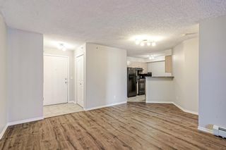 Photo 5: 3413 1620 70 Street SE in Calgary: Applewood Park Apartment for sale : MLS®# A1258533