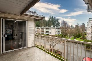 Photo 15: 310 19122 122 Avenue in Pitt Meadows: Central Meadows Condo for sale in "Edgewood Manor" : MLS®# R2435707