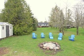 Photo 34: 171 Mcguire Beach Road in Kawartha Lakes: Rural Carden House (Bungalow-Raised) for sale : MLS®# X5580504
