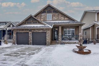 Main Photo: 377 Bayside Crescent SW: Airdrie Detached for sale : MLS®# A2100074