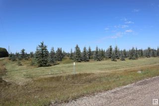 Photo 13: Hwy 622 RR 15: Rural Leduc County Vacant Lot/Land for sale : MLS®# E4328616
