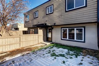 Photo 27: 10 3809 45 Street SW in Calgary: Glenbrook Row/Townhouse for sale : MLS®# A2019821
