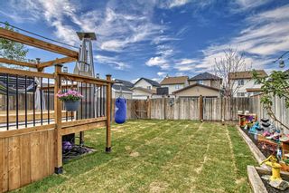 Photo 28: 104 Cranberry Lane SE in Calgary: Cranston Detached for sale : MLS®# A2051933