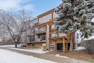 Photo 21: 203 410 1 Avenue NE in Calgary: Crescent Heights Apartment for sale : MLS®# A2119430