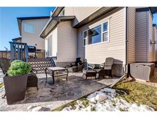 Photo 31: 41 ROYAL BIRCH Crescent NW in Calgary: Royal Oak House for sale : MLS®# C4041001
