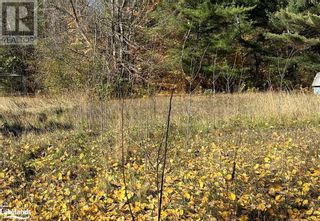 Photo 3: 11 ALBERT Street in Parry Sound: Vacant Land for sale : MLS®# 40342182