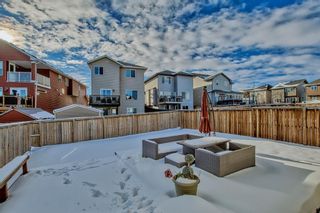 Photo 42: 262 Sage Valley Drive NW in Calgary: Sage Hill Detached for sale : MLS®# A2012983