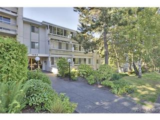 Photo 2: 317 1025 Inverness Road in VICTORIA: SE Quadra Residential for sale (Saanich East)  : MLS®# 319707