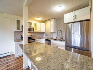 Photo 6: 104 1817 16 Street SW in Calgary: Bankview Apartment for sale : MLS®# A1230169