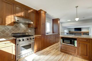 Photo 33: 208 Parkvalley Drive SE in Calgary: Parkland Detached for sale : MLS®# A2003593