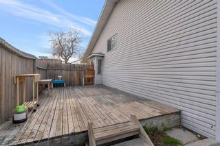Photo 29: 36 Whitehaven Road NE in Calgary: Whitehorn Detached for sale : MLS®# A2129225