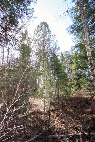 Photo 16: Lot B Zinck Road in Scotch Creek: Land Only for sale : MLS®# 10249220