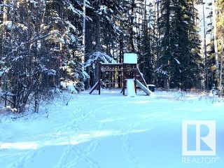 Photo 33: 75034 A TWP RD 453 A: Rural Wetaskiwin County House for sale : MLS®# E4320327