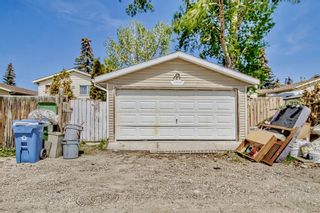 Photo 46: 47 Erin Croft Crescent SE in Calgary: Erin Woods Detached for sale : MLS®# A2048815