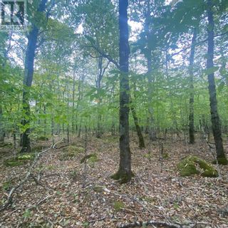 Photo 3: Lot 82 Sparkling Spring Lane in Labelle: Vacant Land for sale : MLS®# 202306324