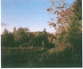 Photo 2: East River East Side Road in Springville: 108-Rural Pictou County Vacant Land for sale (Northern Region)  : MLS®# 202205341