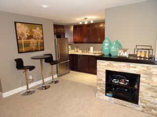 Photo 42: 4047 CHUKA Drive in Regina: The Creeks Single Family Dwelling for sale (Regina Area 04)  : MLS®# 599434