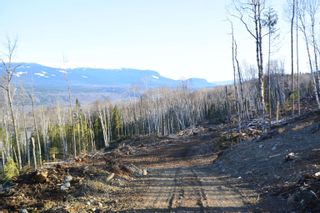 Photo 20: DL 811 16 Highway in New Hazelton: Hazelton Land for sale in "New Hazelton @ Carnaby" (Smithers And Area (Zone 54))  : MLS®# R2679366