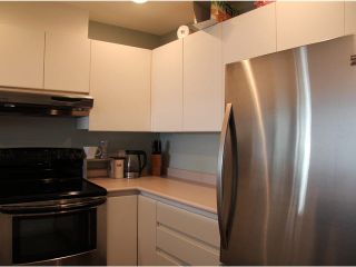 Photo 9: 205 525 AGNES Street in New Westminster: Downtown NW Condo for sale : MLS®# V1111902